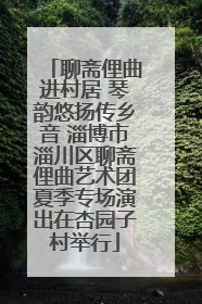 聊斋俚曲进村居 琴韵悠扬传乡音 淄博市淄川区聊斋俚曲艺术团夏季专场演出在杏园子村举行