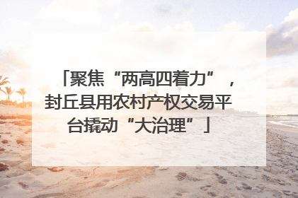聚焦“两高四着力”，封丘县用农村产权交易平台撬动“大治理”