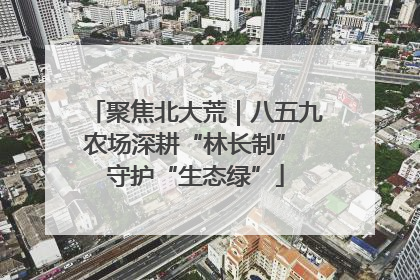 聚焦北大荒｜八五九农场深耕“林长制” 守护“生态绿”