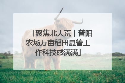 聚焦北大荒｜普阳农场万亩稻田夏管工作科技感满满