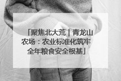 聚焦北大荒｜青龙山农场：农业标准化筑牢全年粮食安全根基