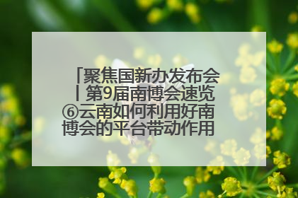 聚焦国新办发布会丨第9届南博会速览⑥云南如何利用好南博会的平台带动作用，深化与南亚国家的交流与合作？