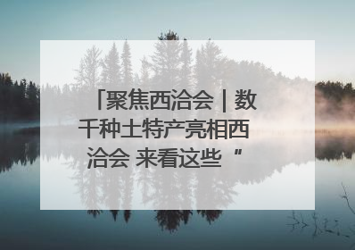 聚焦西洽会｜数千种土特产亮相西洽会 来看这些“爆款”产品
