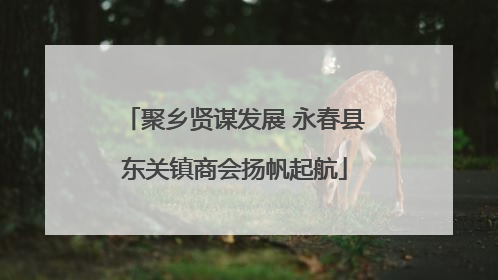 聚乡贤谋发展 永春县东关镇商会扬帆起航