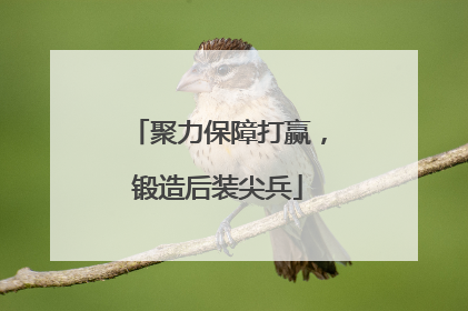聚力保障打赢，锻造后装尖兵