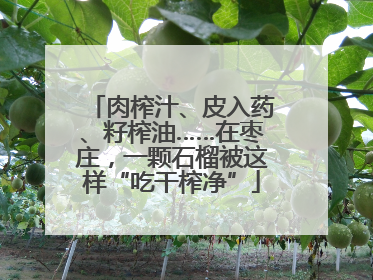 肉榨汁、皮入药、籽榨油……在枣庄，一颗石榴被这样“吃干榨净”