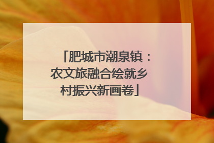 肥城市潮泉镇：农文旅融合绘就乡村振兴新画卷