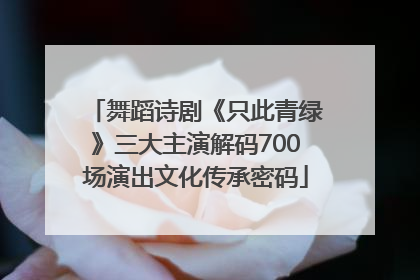 舞蹈诗剧《只此青绿》三大主演解码700场演出文化传承密码