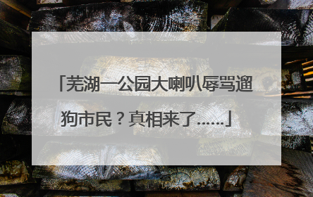 芜湖一公园大喇叭辱骂遛狗市民？真相来了……