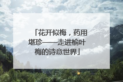 花开似梅，药用堪珍——走进榆叶梅的诗意世界