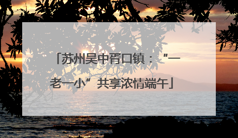 苏州吴中胥口镇：“一老一小”共享浓情端午