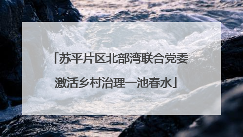 苏平片区北部湾联合党委 激活乡村治理一池春水