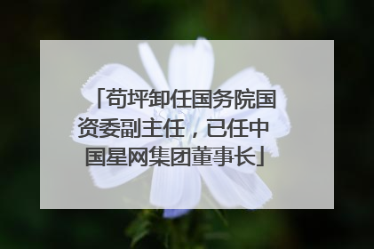 苟坪卸任国务院国资委副主任，已任中国星网集团董事长