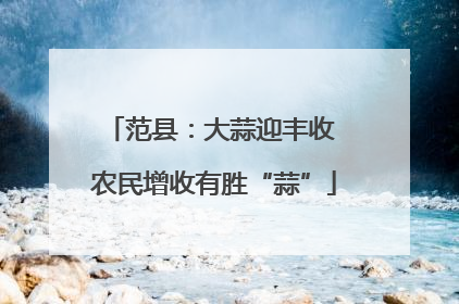 范县：大蒜迎丰收 农民增收有胜“蒜”