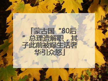 蒙古国“80后”总理遭解职，其子此前被曝生活奢华引众怒