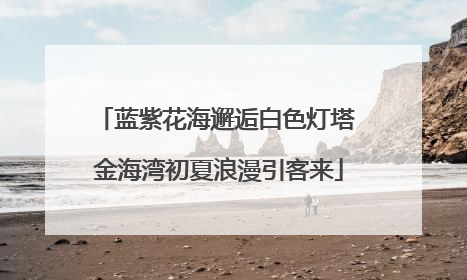 蓝紫花海邂逅白色灯塔 金海湾初夏浪漫引客来