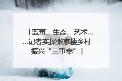 蓝莓、生态、艺术……记者实探张家楼乡村振兴“三重奏”