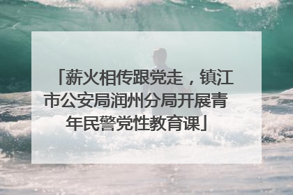 薪火相传跟党走，镇江市公安局润州分局开展青年民警党性教育课