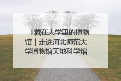 藏在大学里的博物馆｜走进河北师范大学博物馆天地科学馆：在校园里赴一场“宇宙之约”