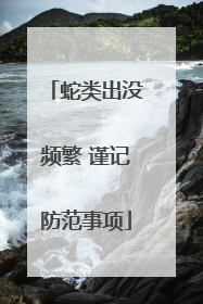 蛇类出没频繁 谨记防范事项