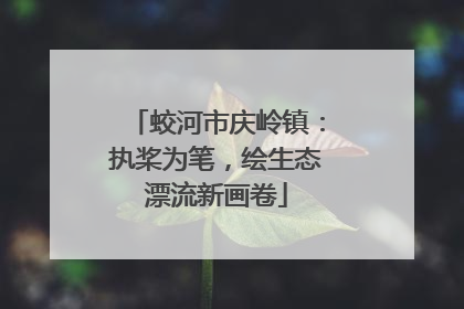 蛟河市庆岭镇：执桨为笔，绘生态漂流新画卷