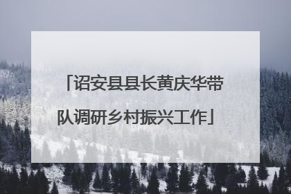 诏安县县长黄庆华带队调研乡村振兴工作