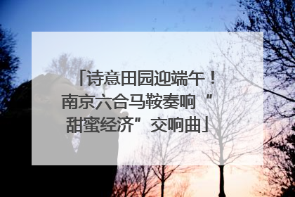 诗意田园迎端午！南京六合马鞍奏响“甜蜜经济”交响曲