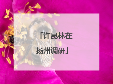 许昆林在扬州调研