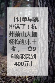 订单早就排满了！杭州萧山大棚杨梅迎来丰收，一盒96颗能卖到400元