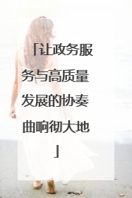 让政务服务与高质量发展的协奏曲响彻大地