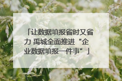 让数据填报省时又省力 禹城全面推进“企业数据填报一件事”