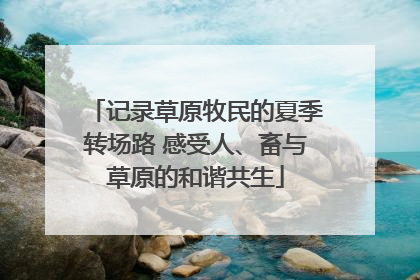 记录草原牧民的夏季转场路 感受人、畜与草原的和谐共生