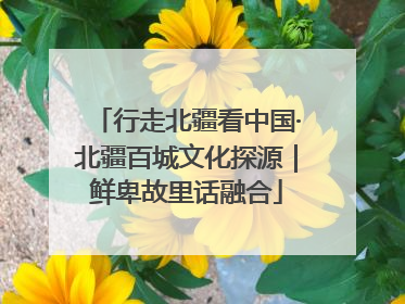 行走北疆看中国·北疆百城文化探源｜鲜卑故里话融合