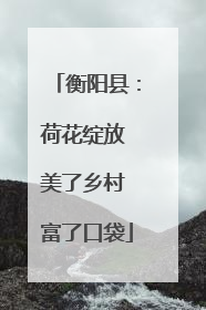 衡阳县：荷花绽放 美了乡村 富了口袋