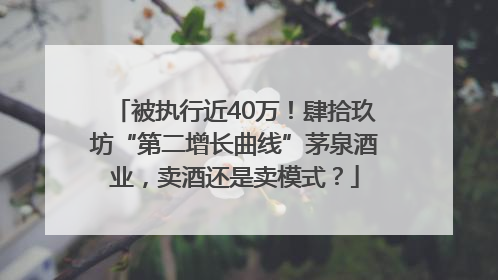被执行近40万！肆拾玖坊“第二增长曲线”茅泉酒业，卖酒还是卖模式？
