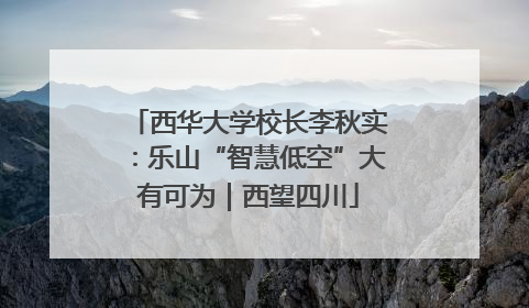 西华大学校长李秋实：乐山“智慧低空”大有可为｜西望四川