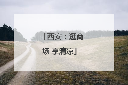 西安：逛商场 享清凉
