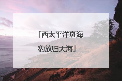 西太平洋斑海豹放归大海