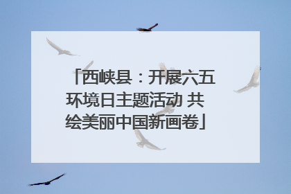 西峡县：开展六五环境日主题活动 共绘美丽中国新画卷