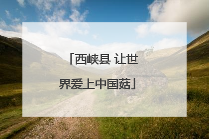 西峡县 让世界爱上中国菇