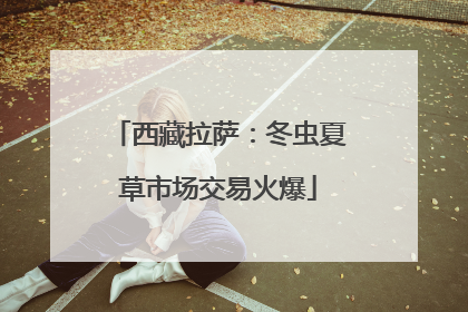 西藏拉萨：冬虫夏草市场交易火爆