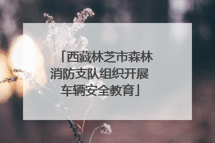 西藏林芝市森林消防支队组织开展车辆安全教育