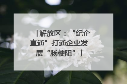 解放区：“纪企直通”打通企业发展“肠梗阻”