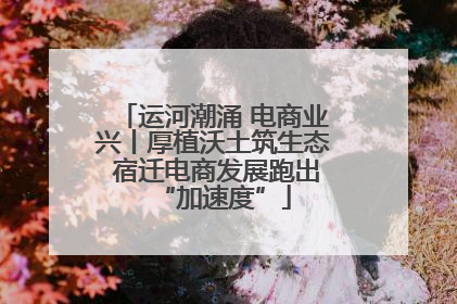 运河潮涌 电商业兴丨厚植沃土筑生态 宿迁电商发展跑出“加速度”
