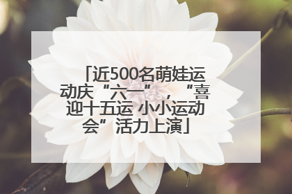 近500名萌娃运动庆“六一”，“喜迎十五运 小小运动会”活力上演