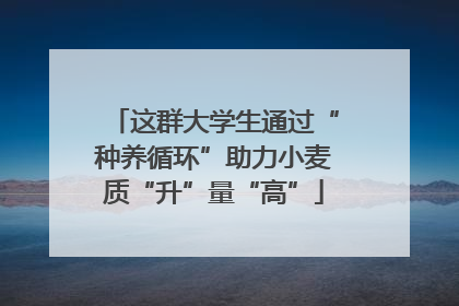 这群大学生通过“种养循环”助力小麦质“升”量“高”
