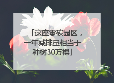 这座零碳园区，一年减排量相当于种树30万棵