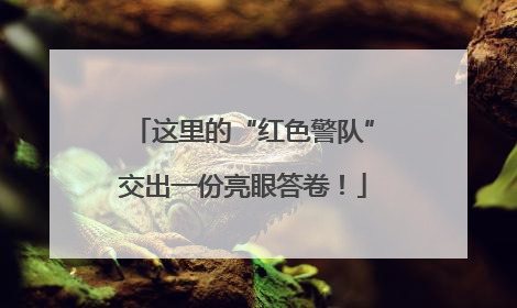 这里的“红色警队”交出一份亮眼答卷！