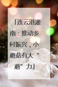 连云港灌南：推动乡村振兴，小蘑菇有大“蘑”力