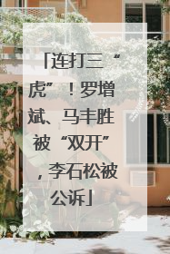 连打三“虎”！罗增斌、马丰胜被“双开”，李石松被公诉